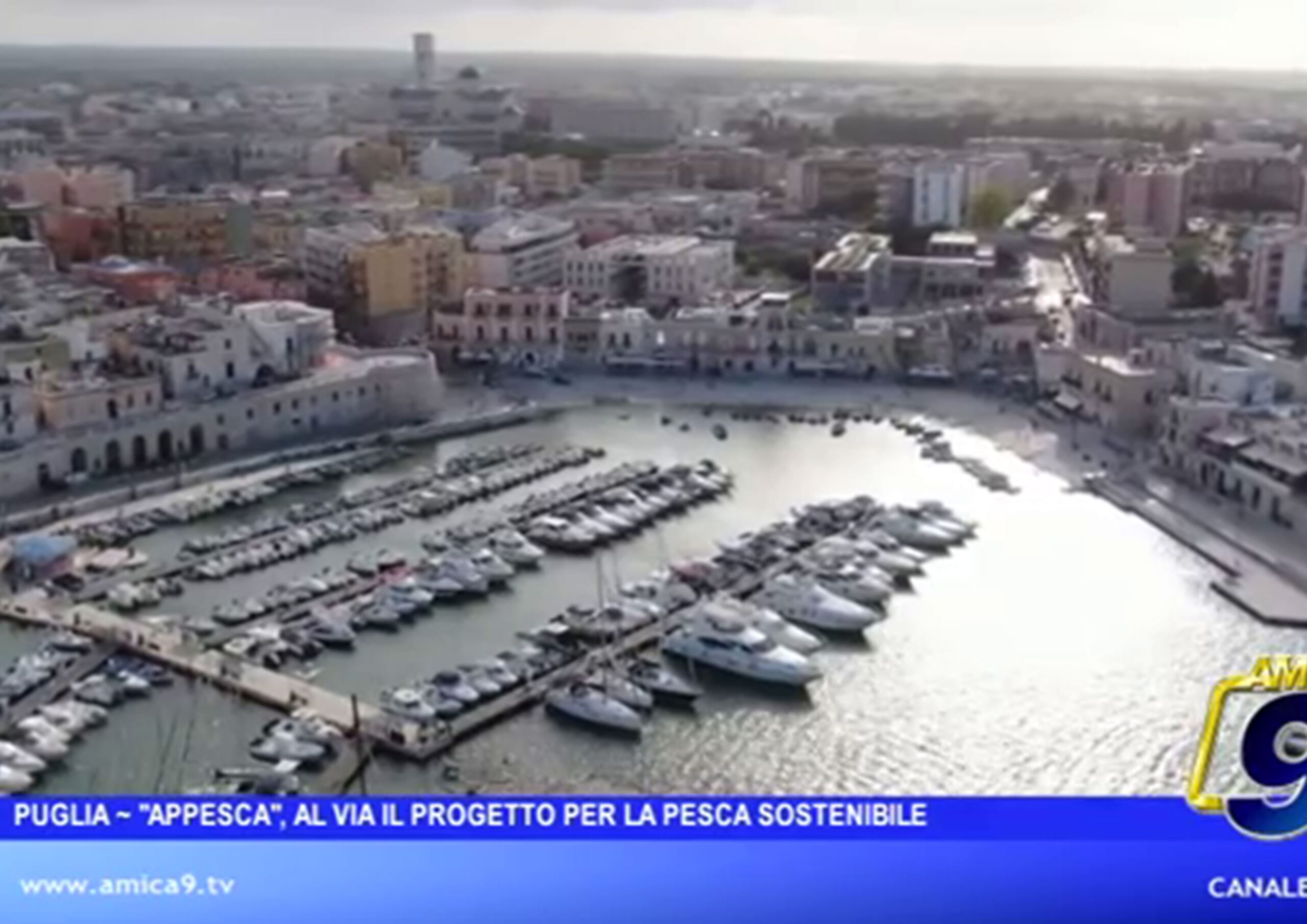 Scopri di più sull'articolo Amica9Tv | Puglia – “Appesca”, al via il progetto per la pesca sostenibile