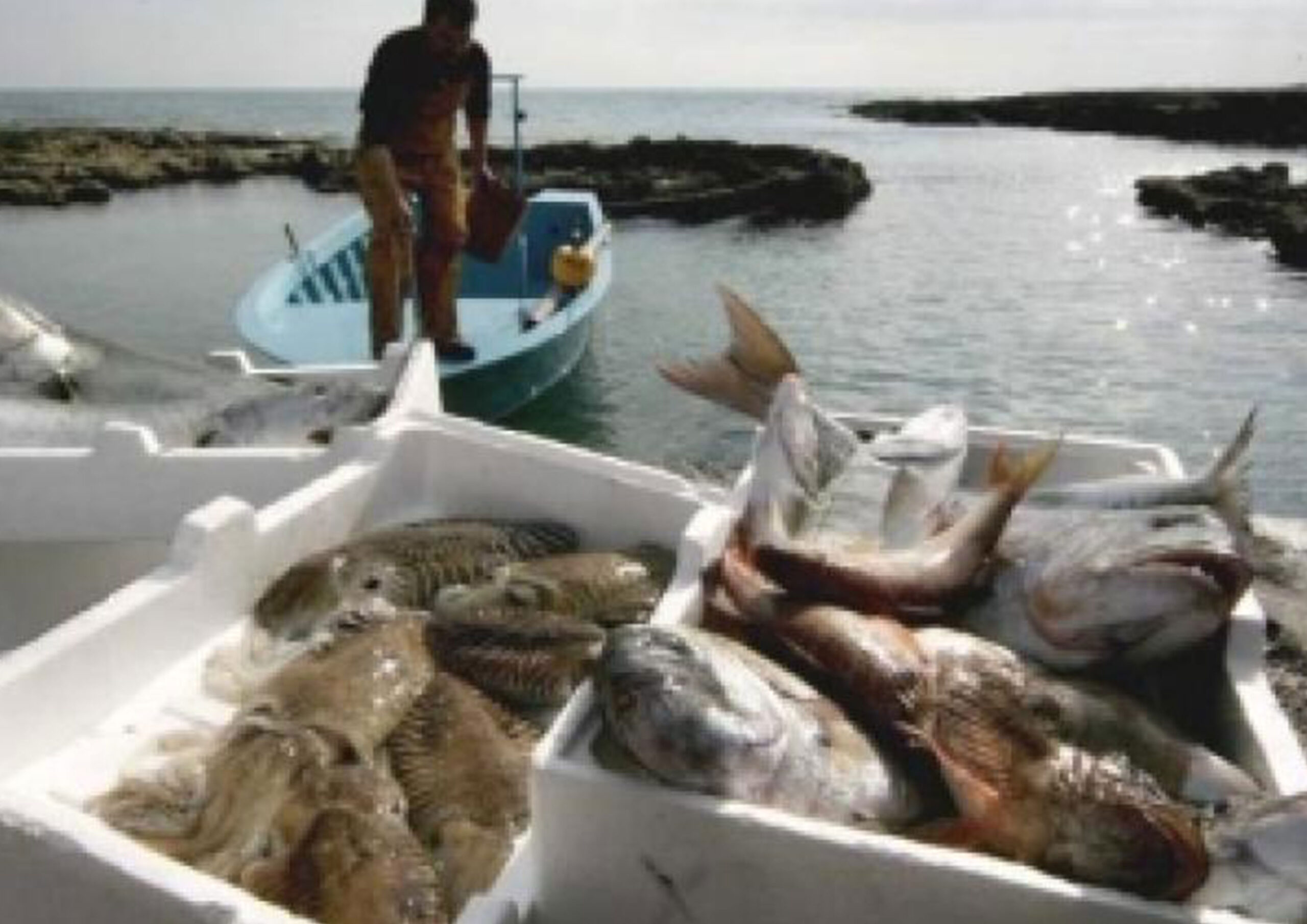 Scopri di più sull'articolo La Gazzetta del Mezzogiorno.it | Pesca sostenibile e innovazione dei porti: nasce in Puglia «Appesca»